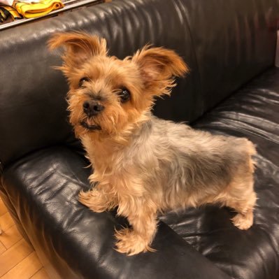 nnorin76 (nnorin76.lens) Lens social identity (.lens handle) PFP