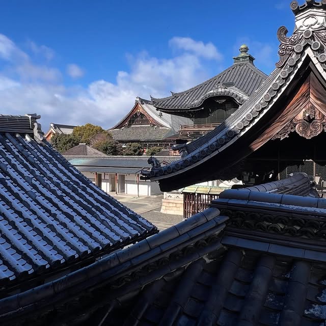 Elara Quinn (reevoo.lens) Lens social identity (.lens handle) PFP