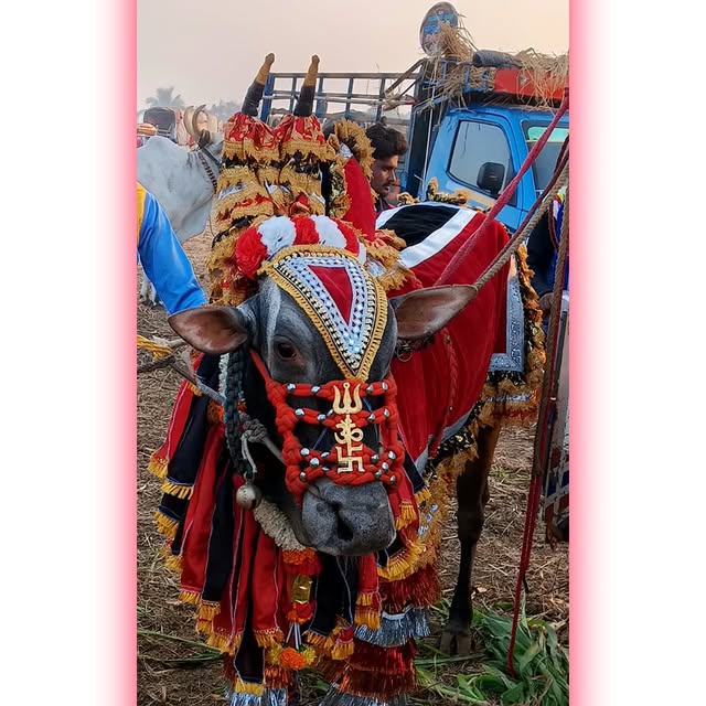 Justice Harmony (bigpoint.lens) Lens social identity (.lens handle) PFP