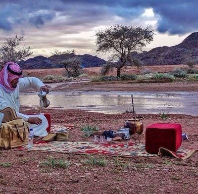 sa599sa (23826.lens) Lens social identity (.lens handle) PFP