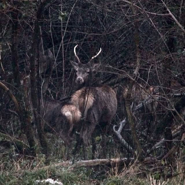 AquaRush Dan 🏄♂️ (pixfuture.lens) Lens social identity (.lens handle) PFP