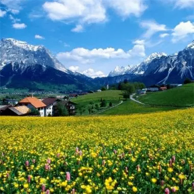 wangbadan (blala.lens) Lens social identity (.lens handle) PFP