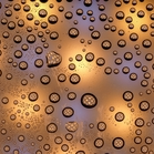 Norton (068986.lens) Lens social identity (.lens handle) PFP