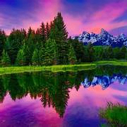 wow (owuwywyeo.lens) Lens social identity (.lens handle) PFP