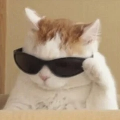 chester (rzhgm.lens) Lens social identity (.lens handle) PFP