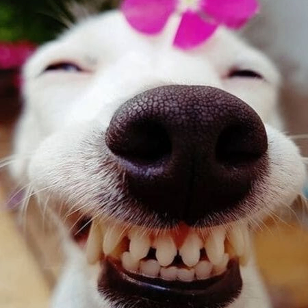 winhgao (winhgao.lens) Lens social identity (.lens handle) PFP