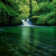 andrew (two034.lens) Lens social identity (.lens handle) PFP