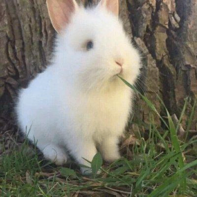 jfmk (ariels.lens) Lens social identity (.lens handle) PFP