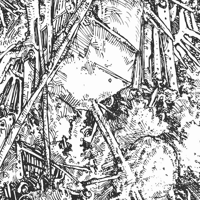 Lexi Cross (vjyfw.lens) Lens social identity (.lens handle) PFP