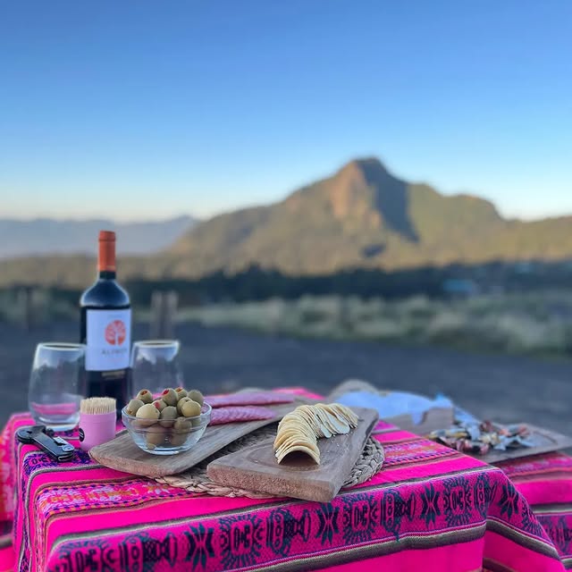 Eloise Verbatim (habrahabr.lens) Lens social identity (.lens handle) PFP