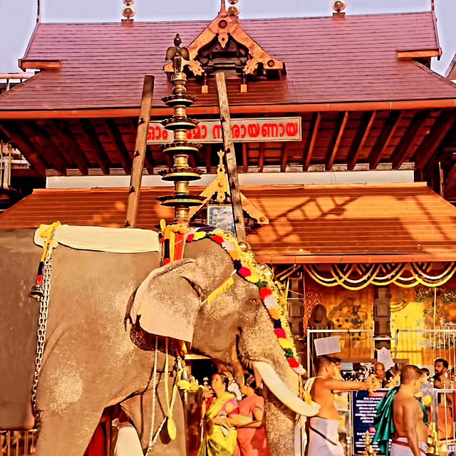 Ranching Rick (vnecdn.lens) Lens social identity (.lens handle) PFP