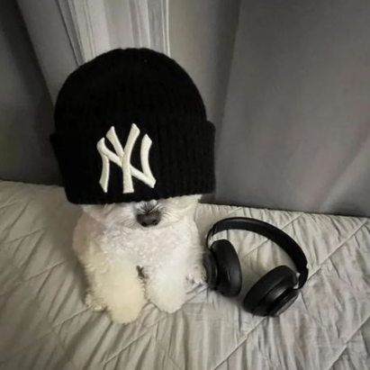 MariiaRosw70314 (mariiarosw70314.lens) Lens social identity (.lens handle) PFP