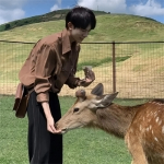 ivreuc (ivreuc.lens) Lens social identity (.lens handle) PFP