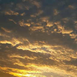 DullDiaries (julesboringlife.lens) Lens social identity (.lens handle) PFP