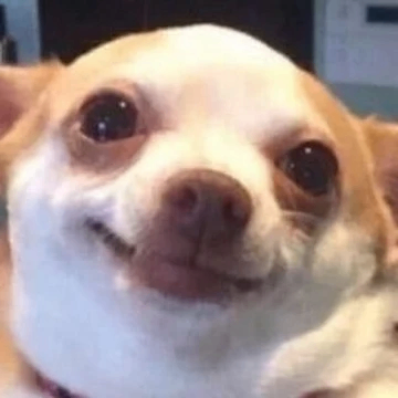 Vu Khang (roblnk.lens) Lens social identity (.lens handle) PFP