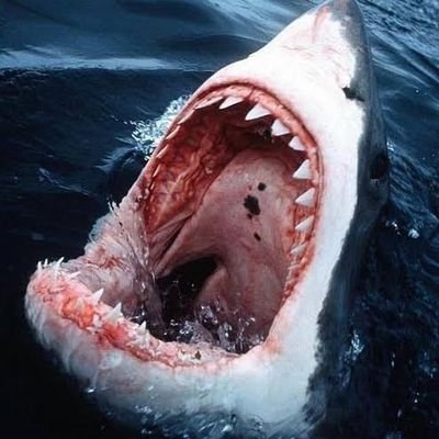 WaterlsScary (waterlsscary.lens) Lens social identity (.lens handle) PFP