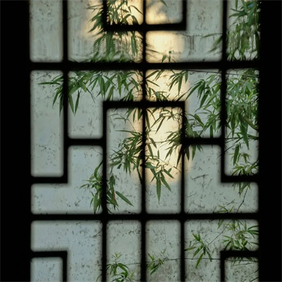 wuyi (wushuoyi.lens) Lens social identity (.lens handle) PFP