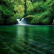 polychain (ooaauysgwwh.lens) Lens social identity (.lens handle) PFP