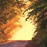 yer (yerli.lens) Lens social identity (.lens handle) PFP