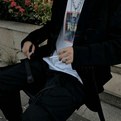 Michel (dinahs.lens) Lens social identity (.lens handle) PFP