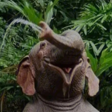 Winifred Kelsen (jjjjjz.lens) Lens social identity (.lens handle) PFP