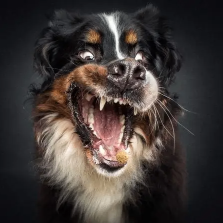 Ethereal (entotan.lens) Lens social identity (.lens handle) PFP