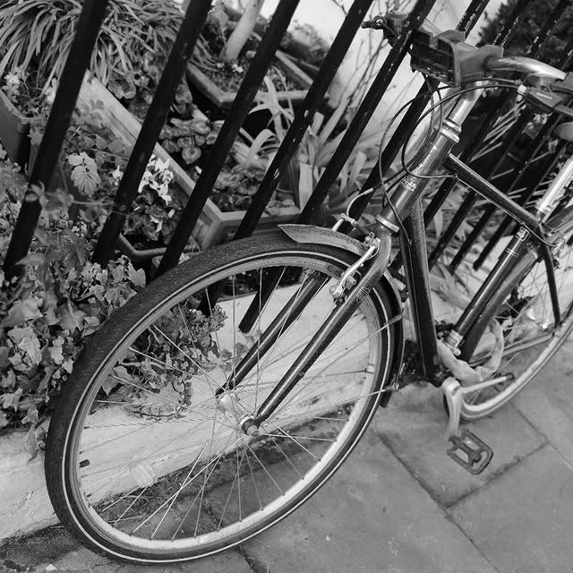 Syntax Savant (zencdn.lens) Lens social identity (.lens handle) PFP