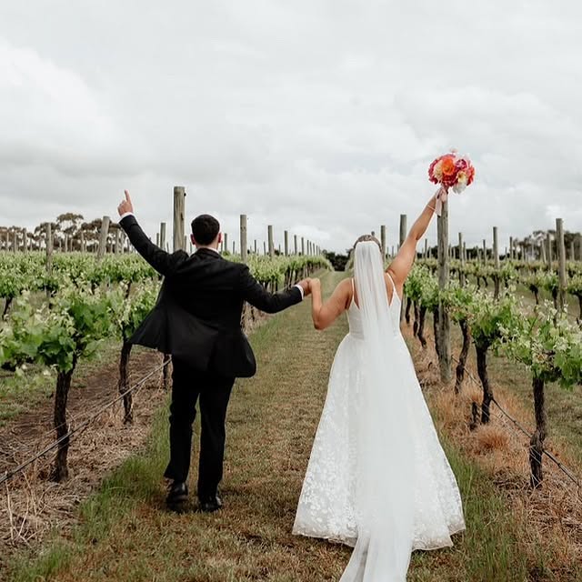 Ellipse Enthusiast (airmail.lens) Lens social identity (.lens handle) PFP