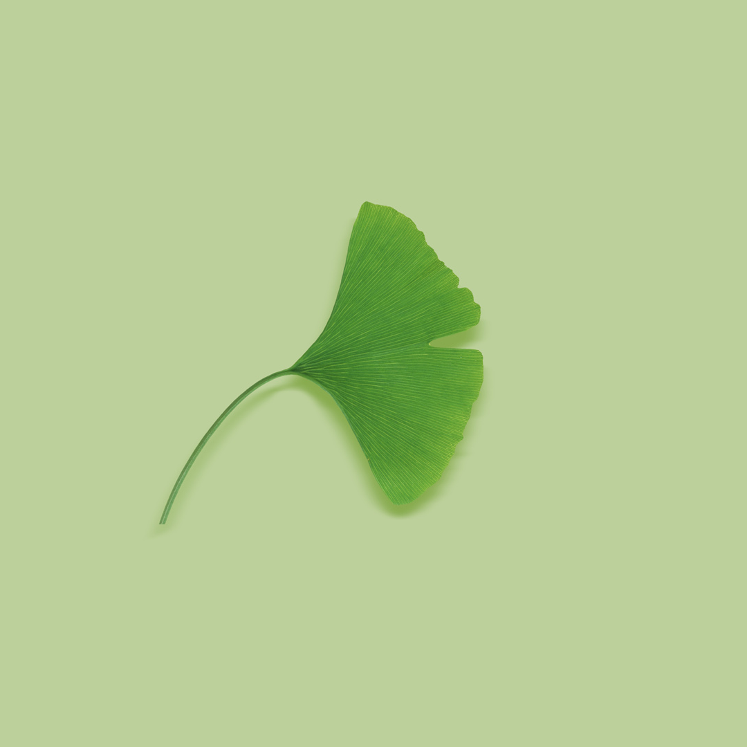 a (alantur.lens) Lens social identity (.lens handle) PFP