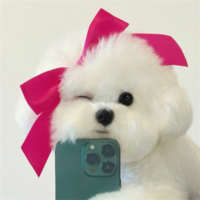 Yale Pepys (iiiiis.lens) Lens social identity (.lens handle) PFP