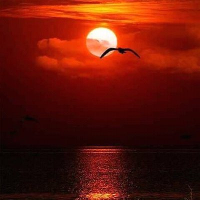 jucafran81 (jucafran81.lens) Lens social identity (.lens handle) PFP