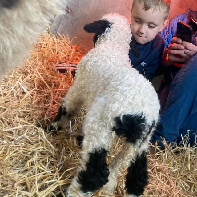 Dr. Green Vibe (projone.lens) Lens social identity (.lens handle) PFP