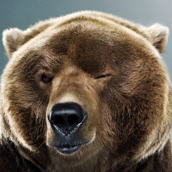 Hung Nguyen (ntmhung94.lens) Lens social identity (.lens handle) PFP