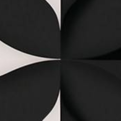 WIOS (79441.lens) Lens social identity (.lens handle) PFP