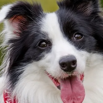 False (bblythel.lens) Lens social identity (.lens handle) PFP