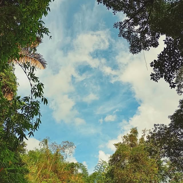 Stellar Sage (wowway.lens) Lens social identity (.lens handle) PFP