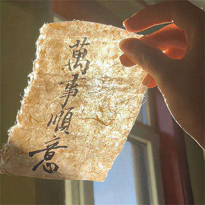 busna (bsuano.lens) Lens social identity (.lens handle) PFP