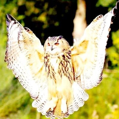 DavidSo24206464 (davidso24206464.lens) Lens social identity (.lens handle) PFP