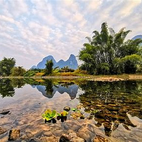 lucyamparocolor (lucyamparocolor.lens) Lens social identity (.lens handle) PFP