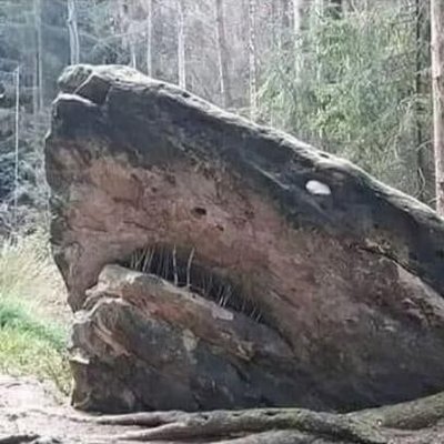 CestTerrifiant (cestterrifiant.lens) Lens social identity (.lens handle) PFP