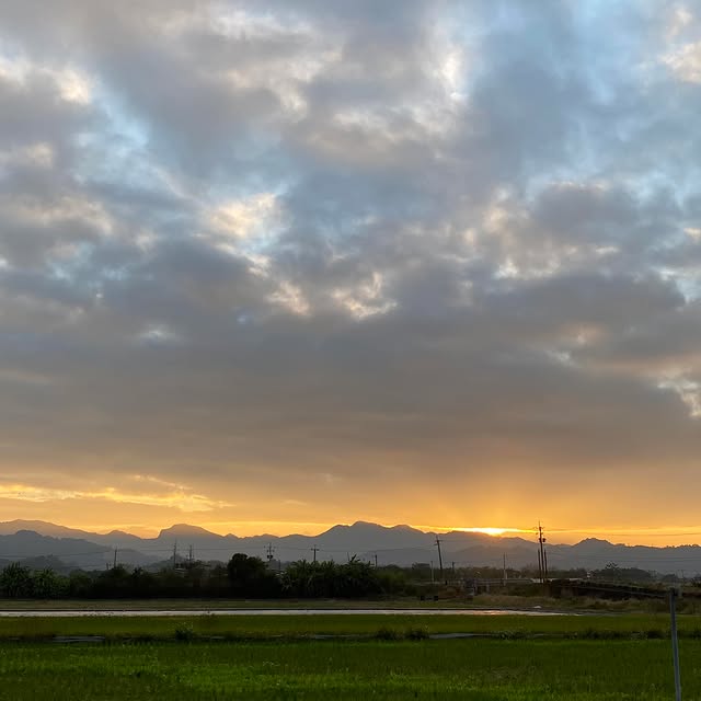 Lydia Vowell (jsrdn.lens) Lens social identity (.lens handle) PFP