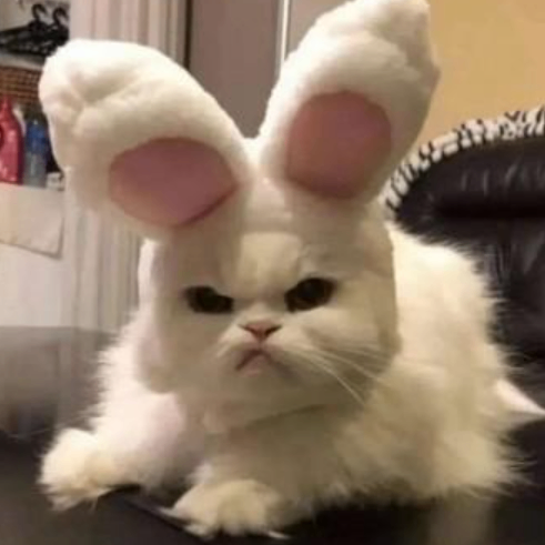 Quentin (jfjf7.lens) Lens social identity (.lens handle) PFP