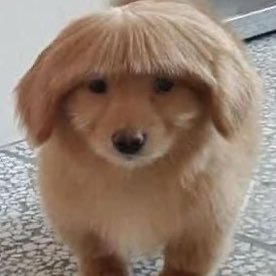 30FFobia (30ffobia.lens) Lens social identity (.lens handle) PFP