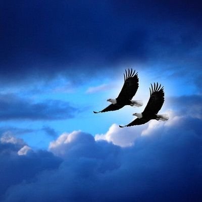 jaingurug (jaingurug.lens) Lens social identity (.lens handle) PFP