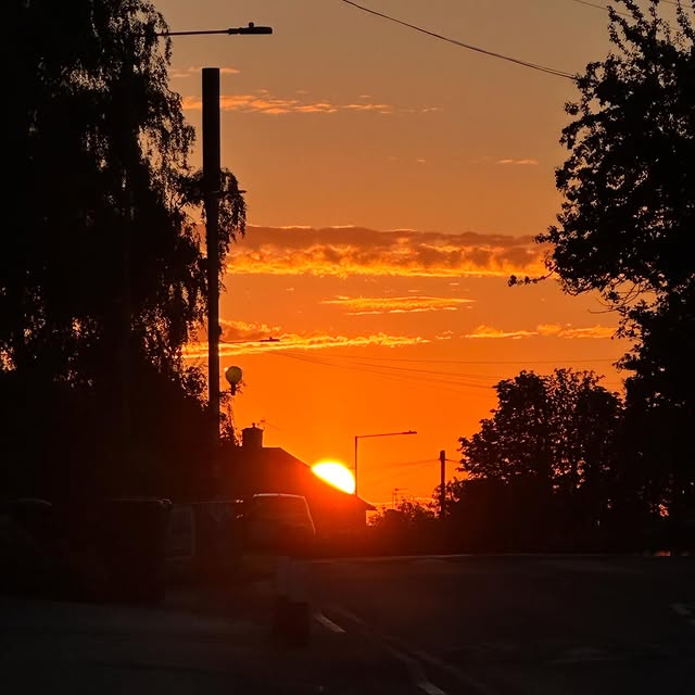 Isla Carvath (rtbidder.lens) Lens social identity (.lens handle) PFP