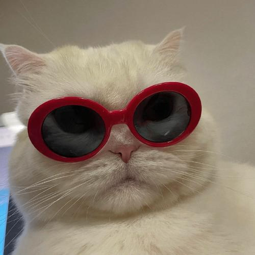 hsddsc (hsddsc.lens) Lens social identity (.lens handle) PFP