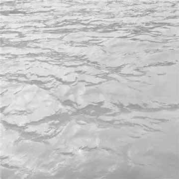 waterman (bearaa.lens) Lens social identity (.lens handle) PFP