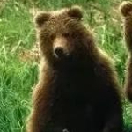 Edward Darwin (jjjjs.lens) Lens social identity (.lens handle) PFP