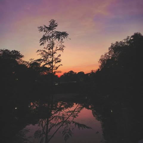 robinna (jimerk.lens) Lens social identity (.lens handle) PFP