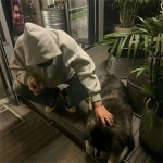 Tess Carllyle (wwwwwqq.lens) Lens social identity (.lens handle) PFP